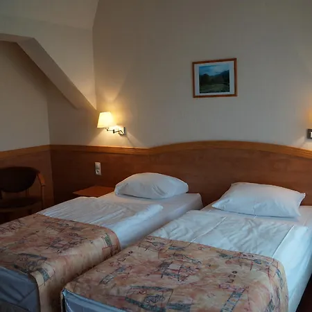 Hotel Nestor Chodziez